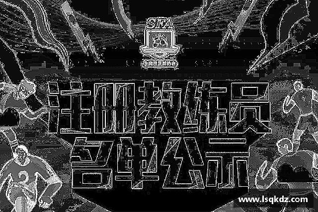介绍彩神vll
